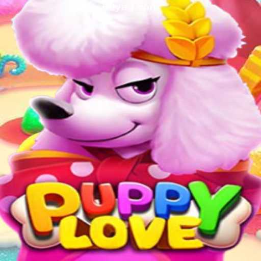 PuppyLove: A Dive into Excitement and Fun with 69Y.Com